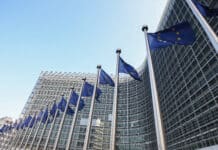 EU Vote on CSDDD Preserves Dangerous Extraterritorial Reach