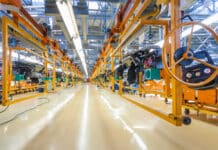 Trump, the Working Class and Social Order