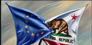 EU Regulations and California’s Climate Rules Threaten U.S. Small Businesses